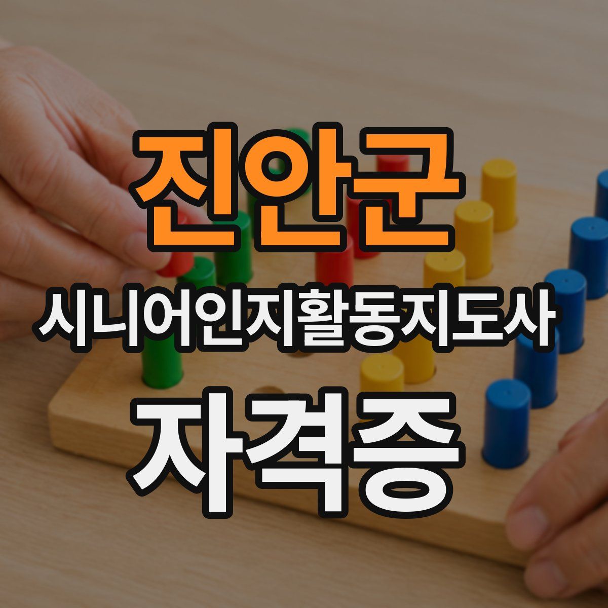 진안군 시니어인지활동지도사 자격증