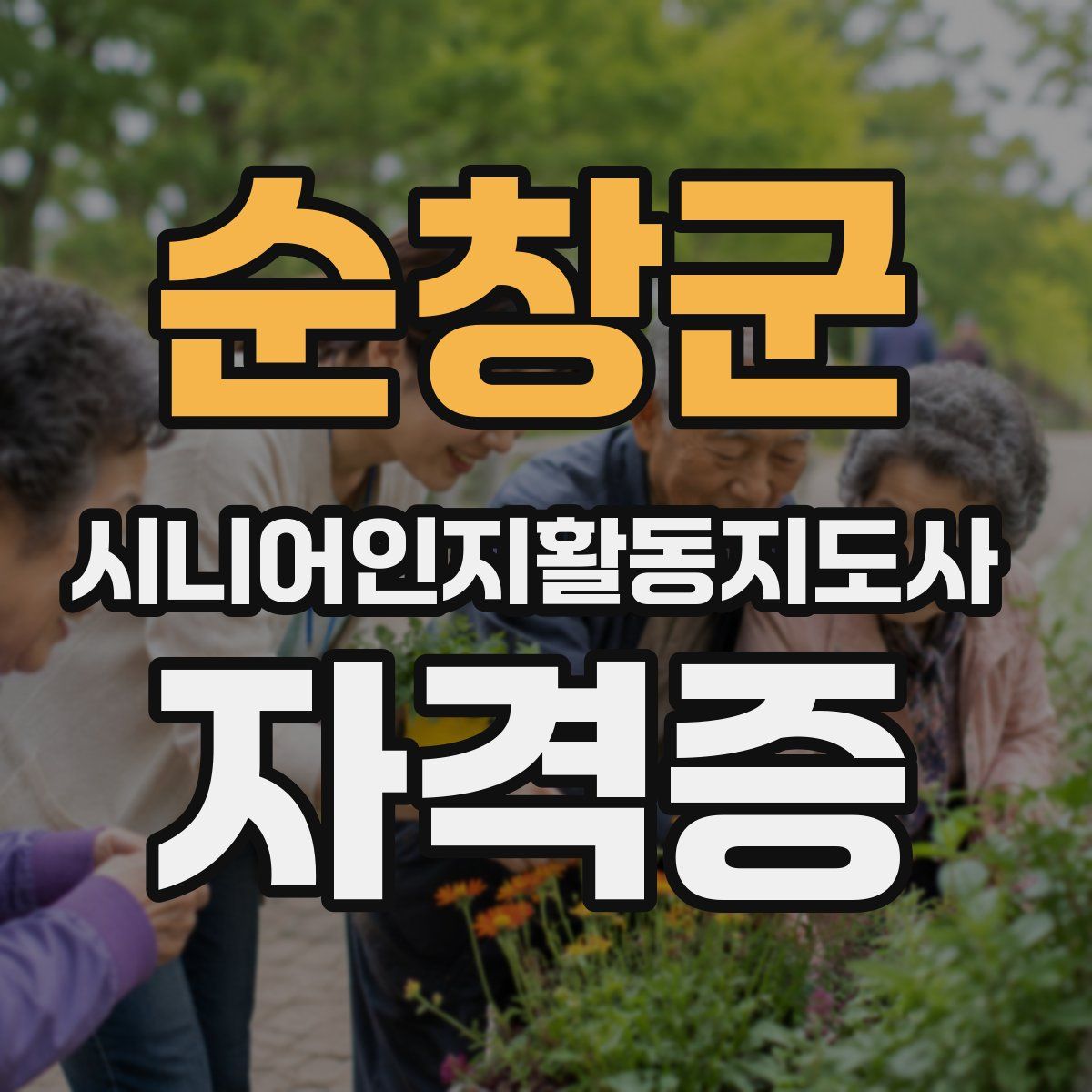 순창군 시니어인지활동지도사 자격증
