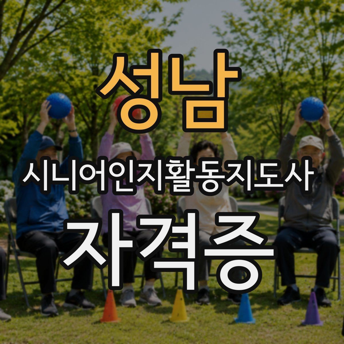성남 시니어인지활동지도사 자격증 발급 절차 한눈에 보기