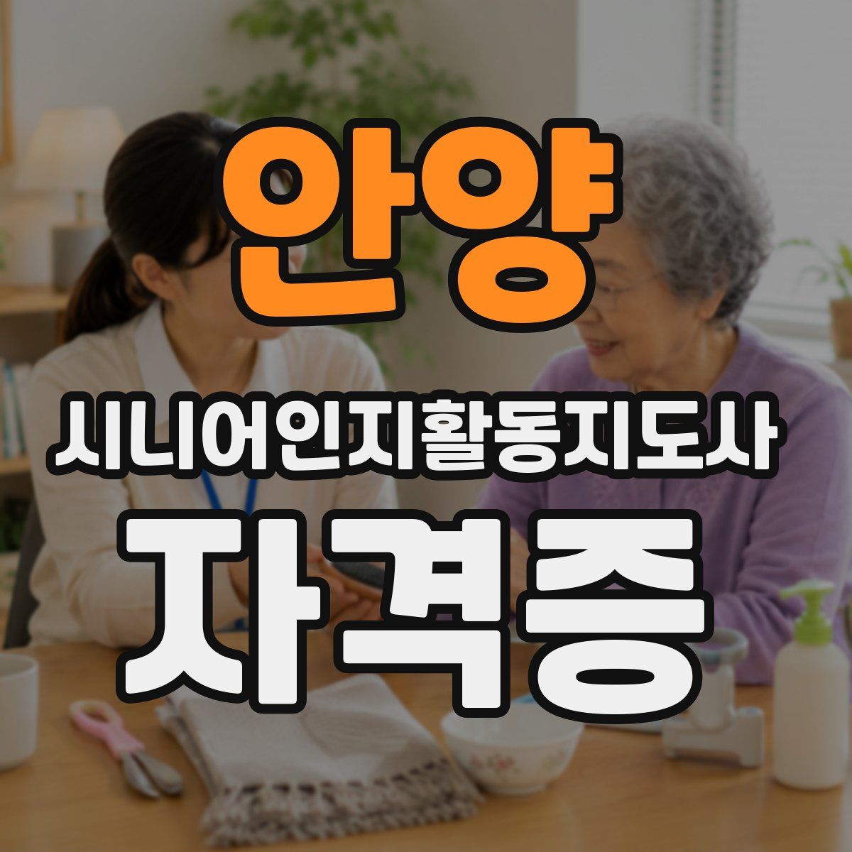 안양 시니어인지활동지도사 자격증