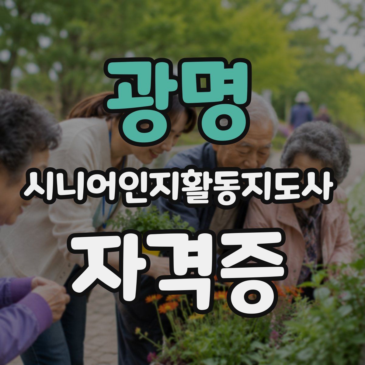 광명 시니어인지활동지도사 자격증