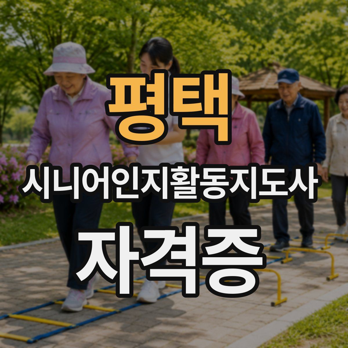 평택 시니어인지활동지도사 자격증