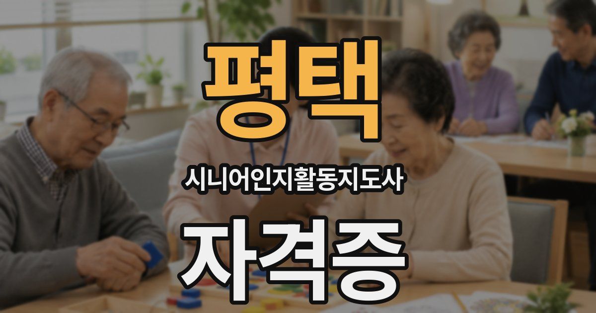 평택 시니어인지활동지도사 자격증