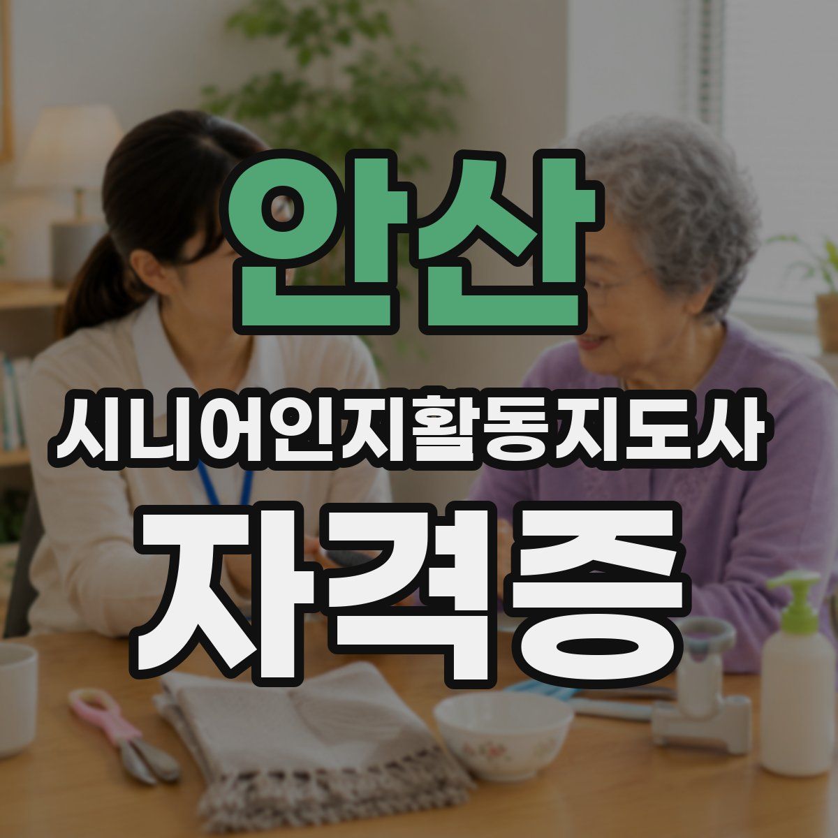 안산 시니어인지활동지도사 자격증