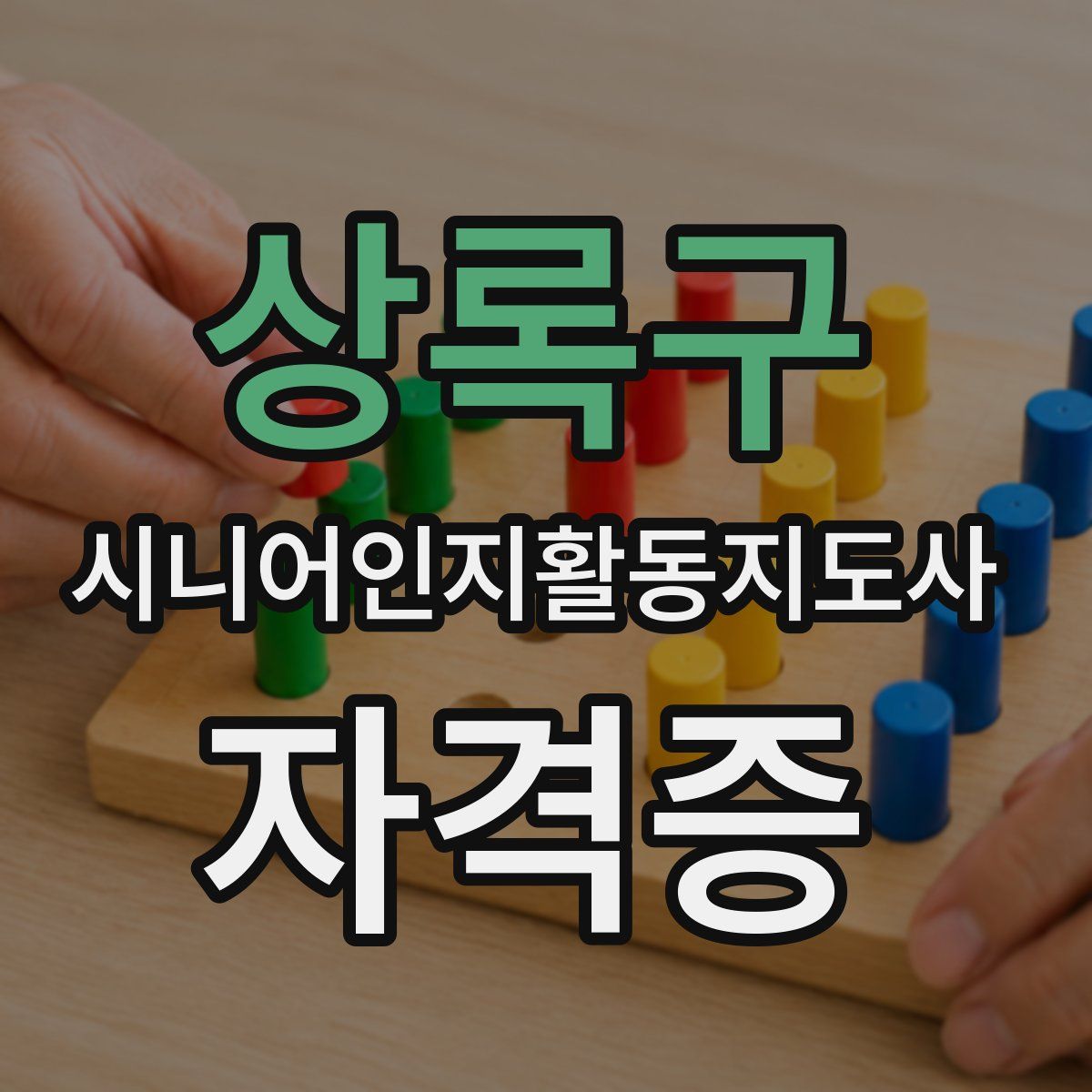 상록구 시니어인지활동지도사 자격증