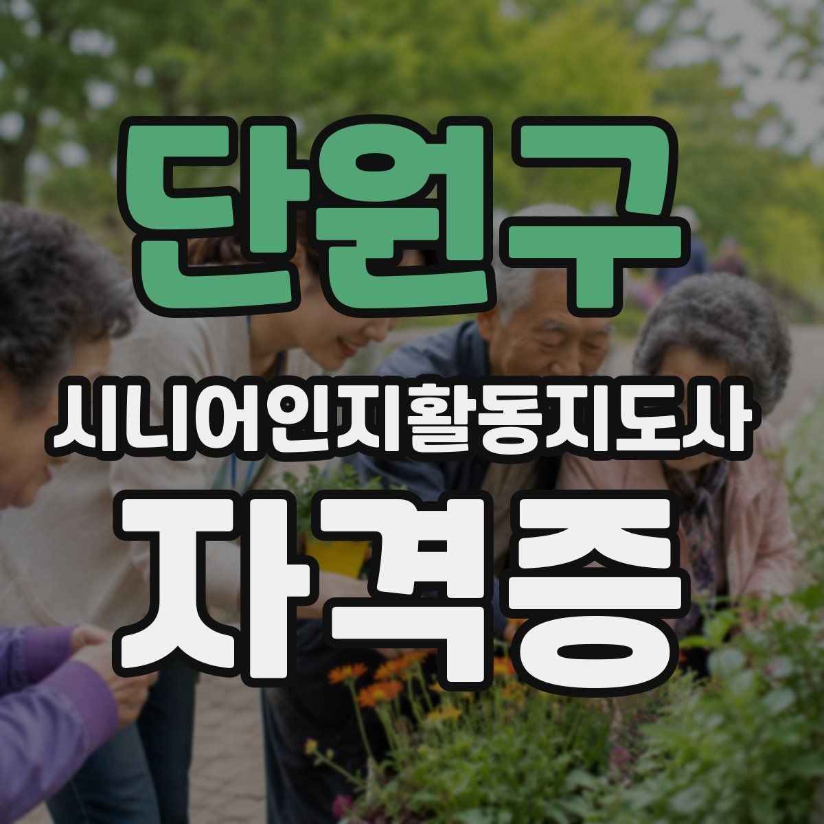 단원구 시니어인지활동지도사 자격증 준비생이 많이 찾는 정보
