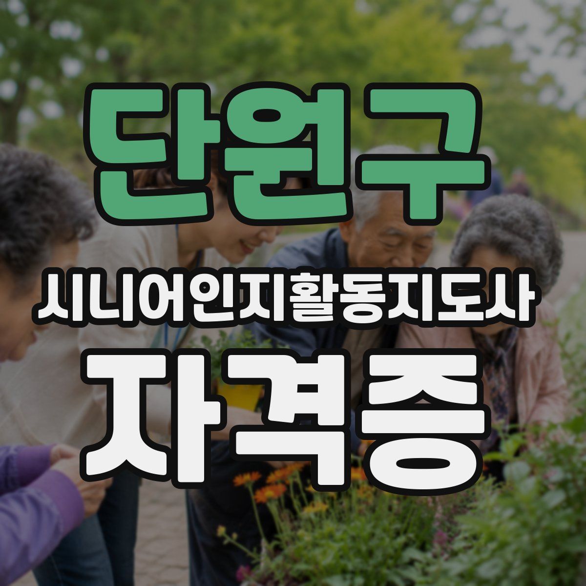 단원구 시니어인지활동지도사 자격증