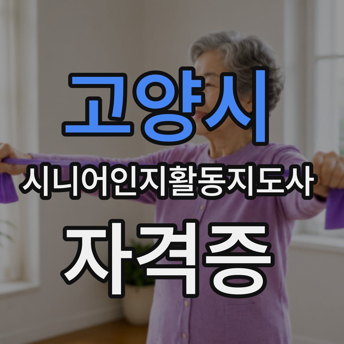 고양시 시니어인지활동지도사 자격증