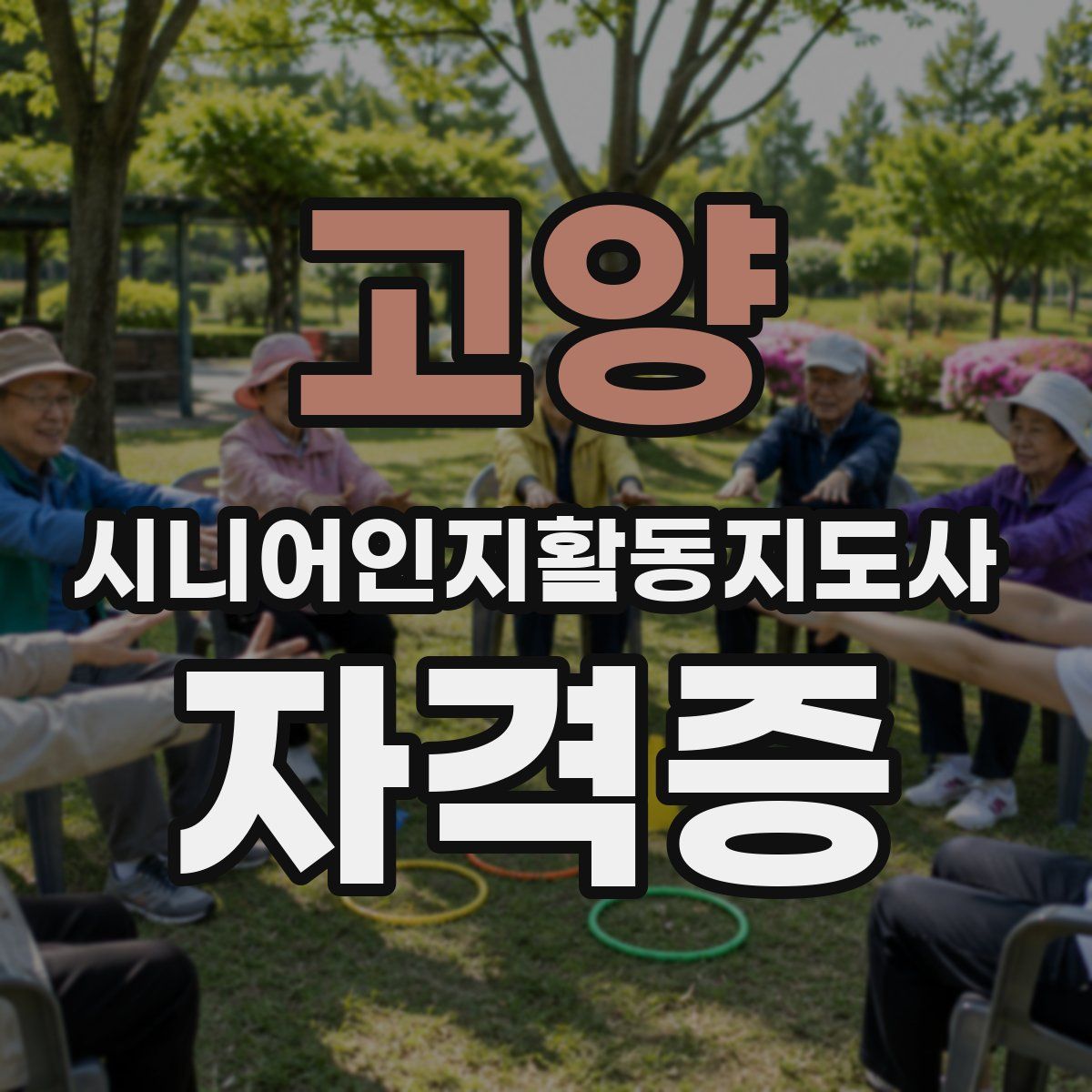고양 시니어인지활동지도사 자격증