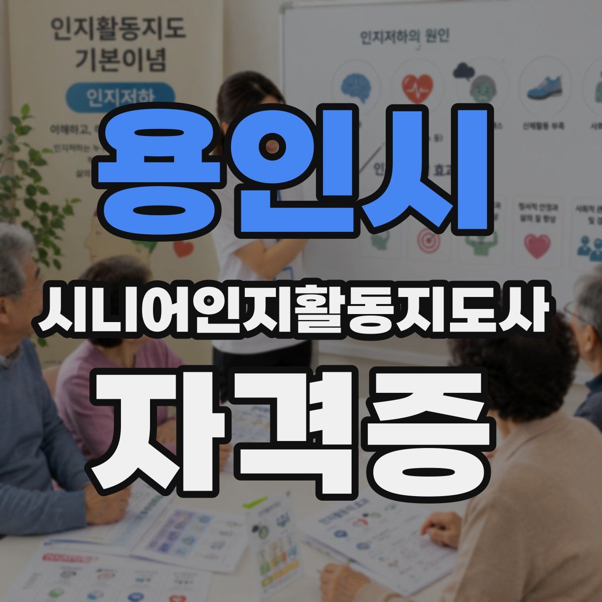 용인시 시니어인지활동지도사 자격증