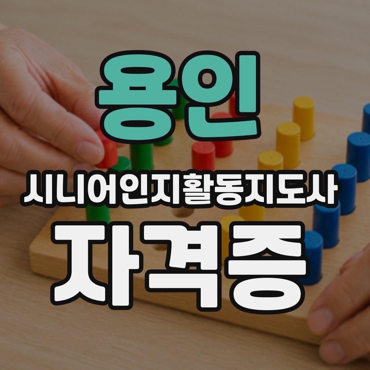 용인 시니어인지활동지도사 자격증