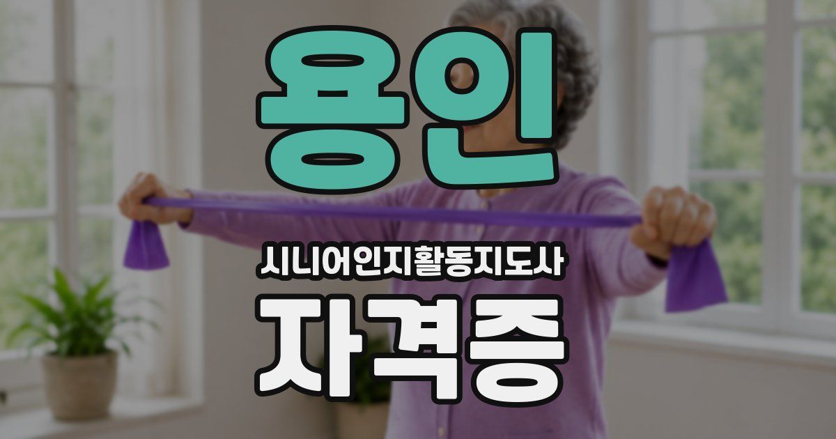 용인 시니어인지활동지도사 자격증