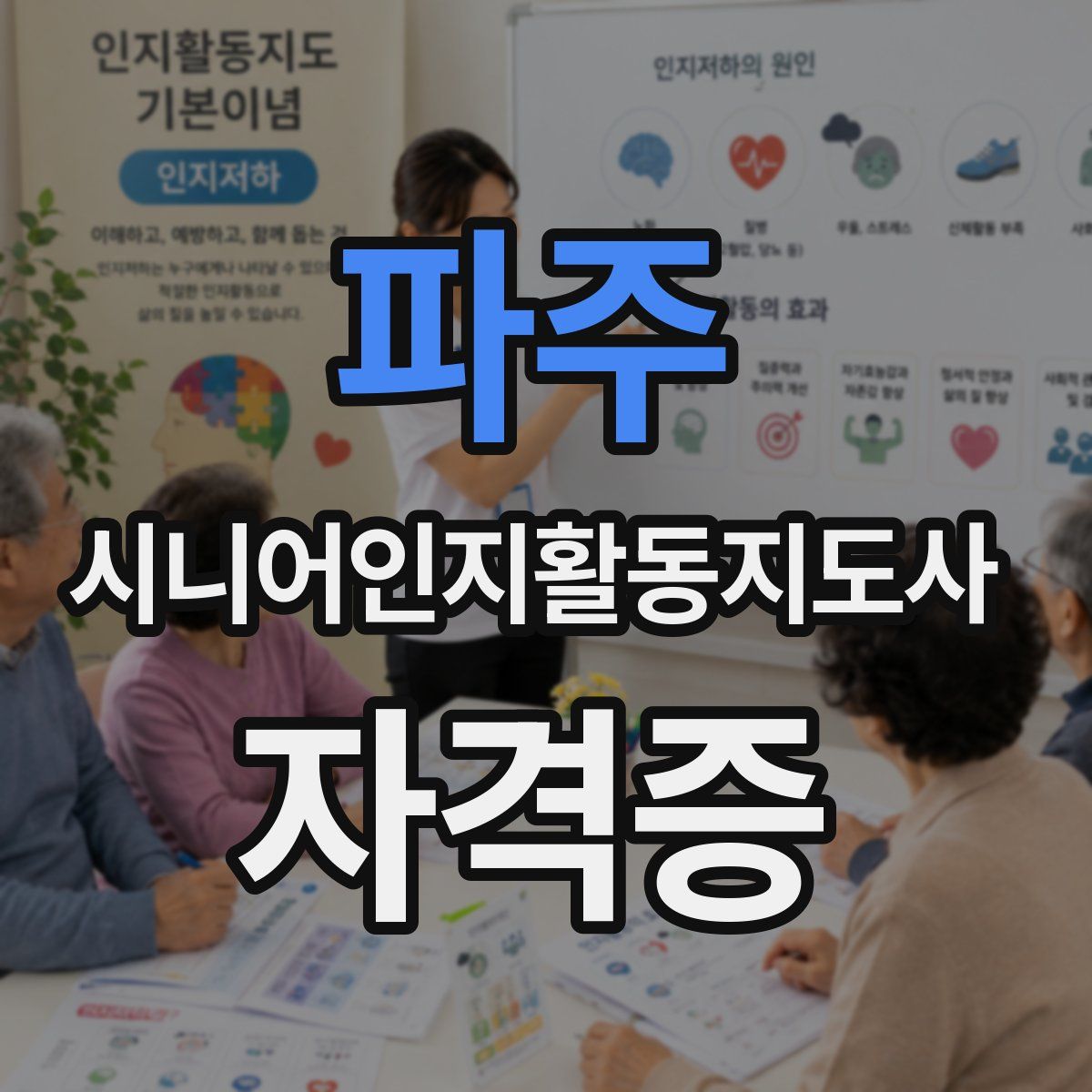 파주 시니어인지활동지도사 자격증