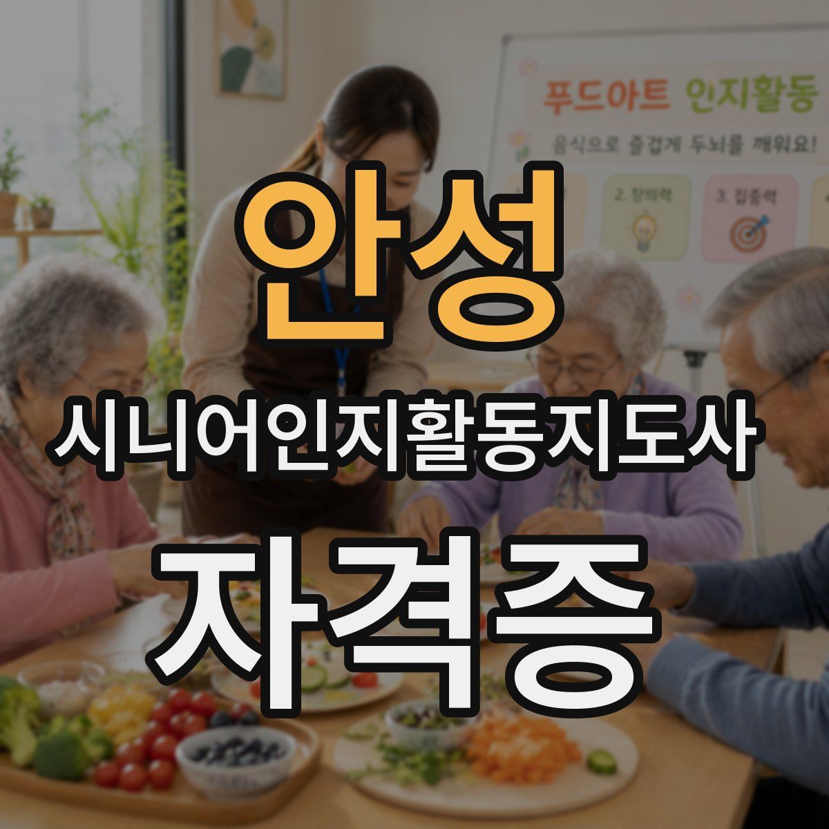 안성 시니어인지활동지도사 자격증