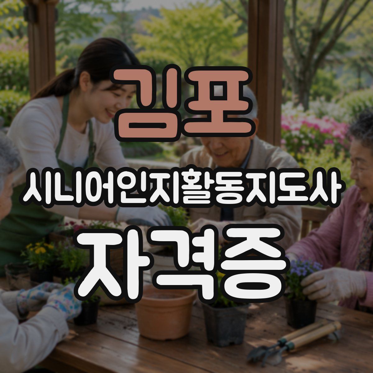 김포 시니어인지활동지도사 자격증