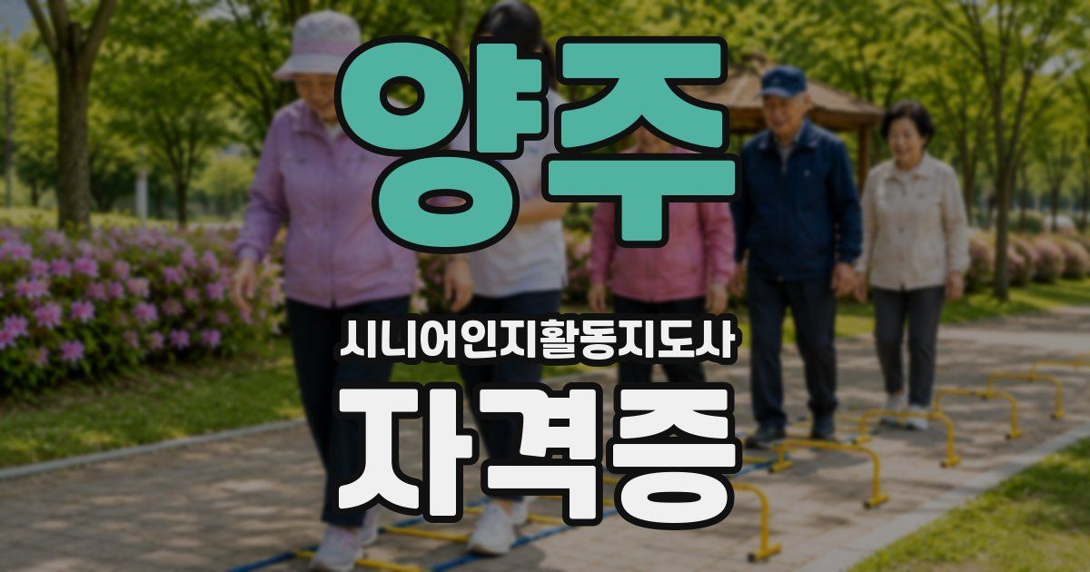 양주 시니어인지활동지도사 자격증