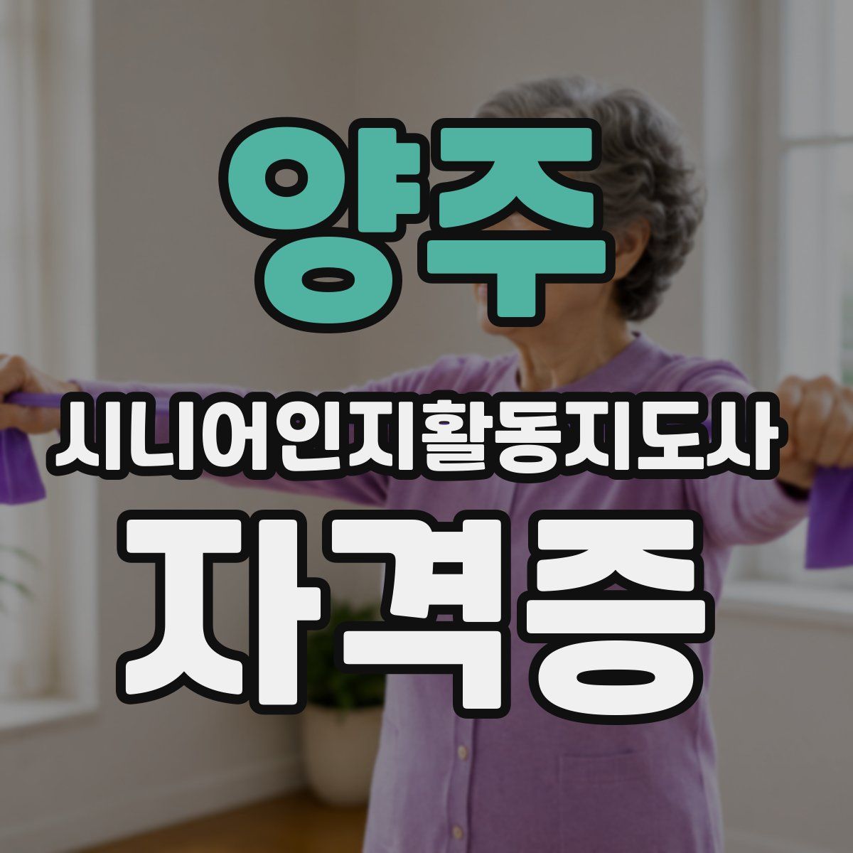 양주 시니어인지활동지도사 자격증