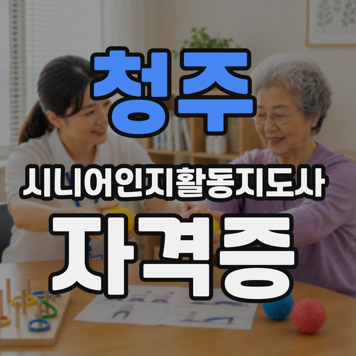 청주 시니어인지활동지도사 자격증