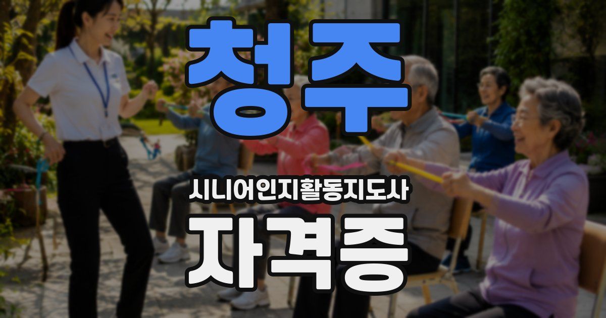 청주 시니어인지활동지도사 자격증