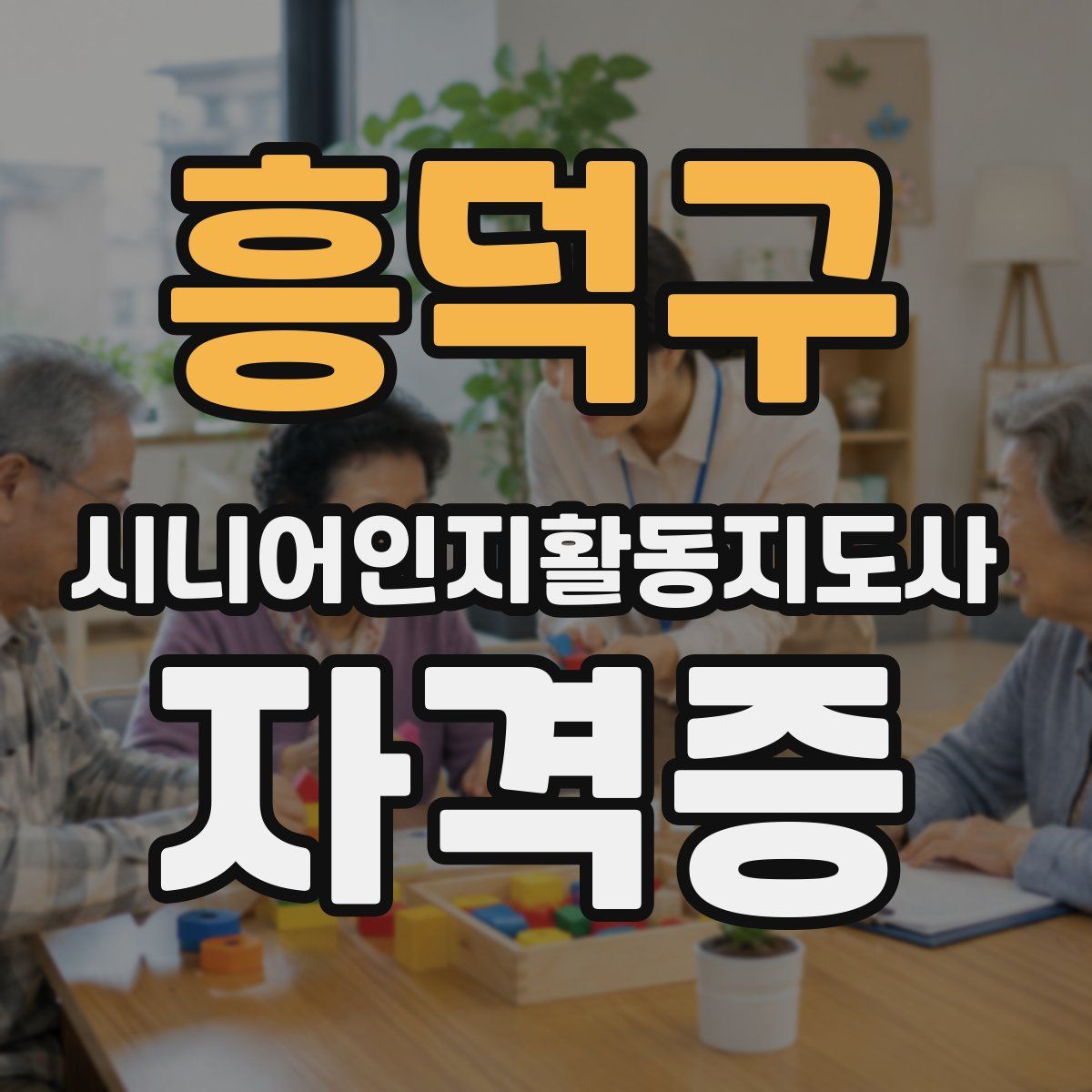 흥덕구 시니어인지활동지도사 자격증