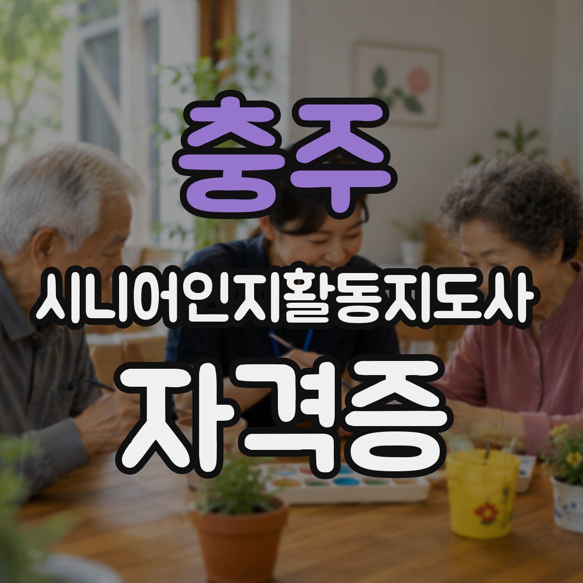 충주 시니어인지활동지도사 자격증
