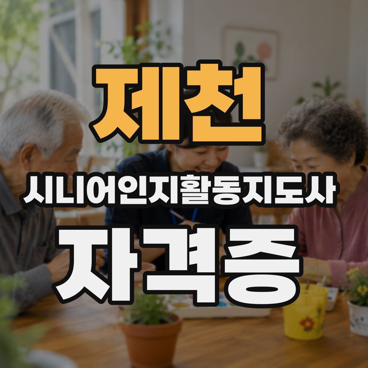 제천 시니어인지활동지도사 자격증