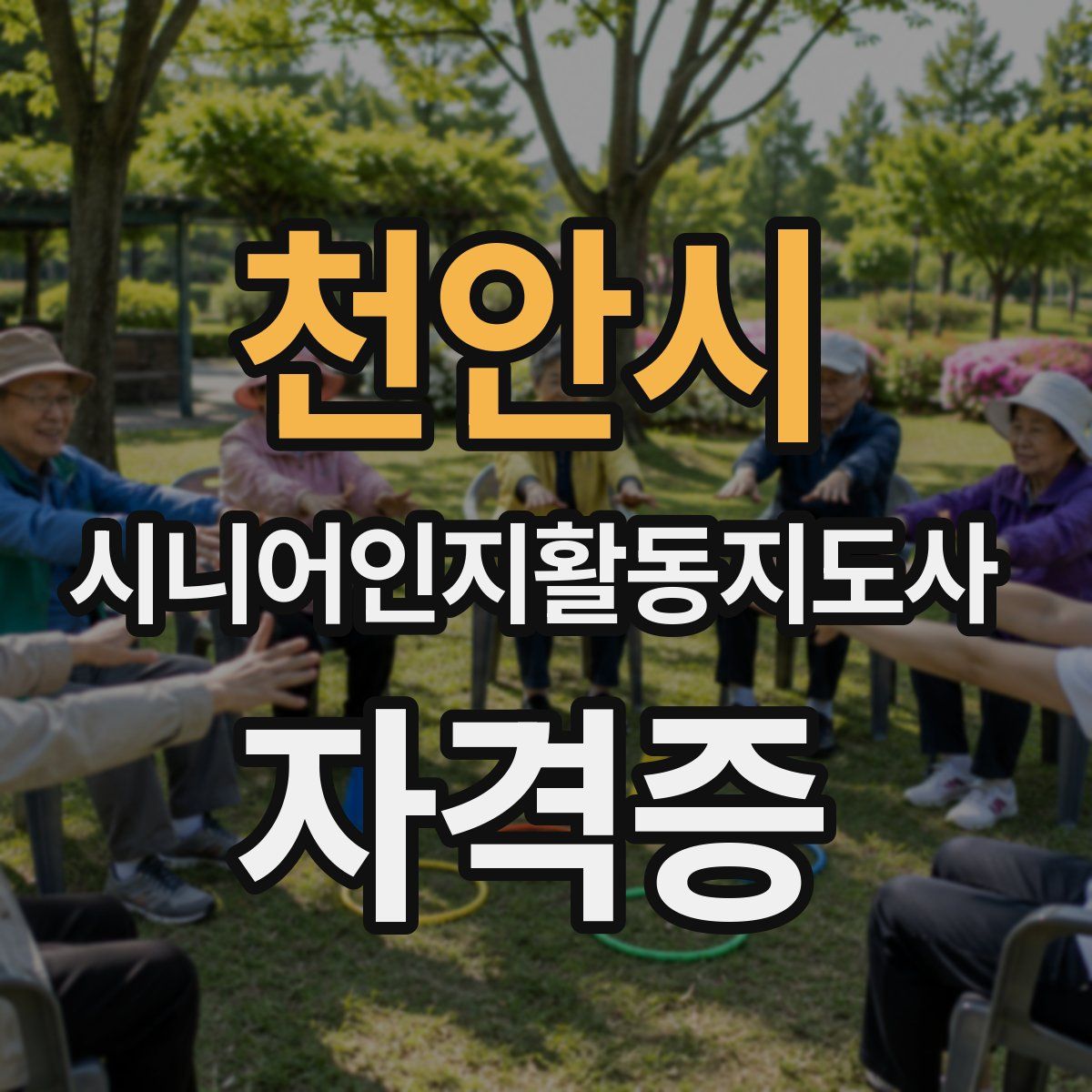 천안시 시니어인지활동지도사 자격증