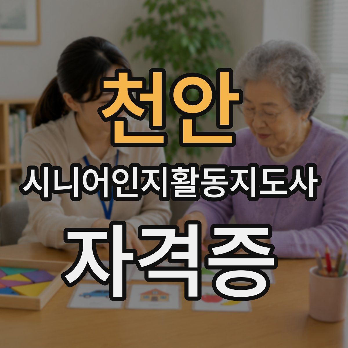 천안 시니어인지활동지도사 자격증 취득 후 경력 관리 방법