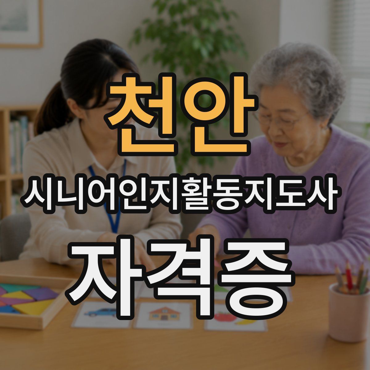 천안 시니어인지활동지도사 자격증