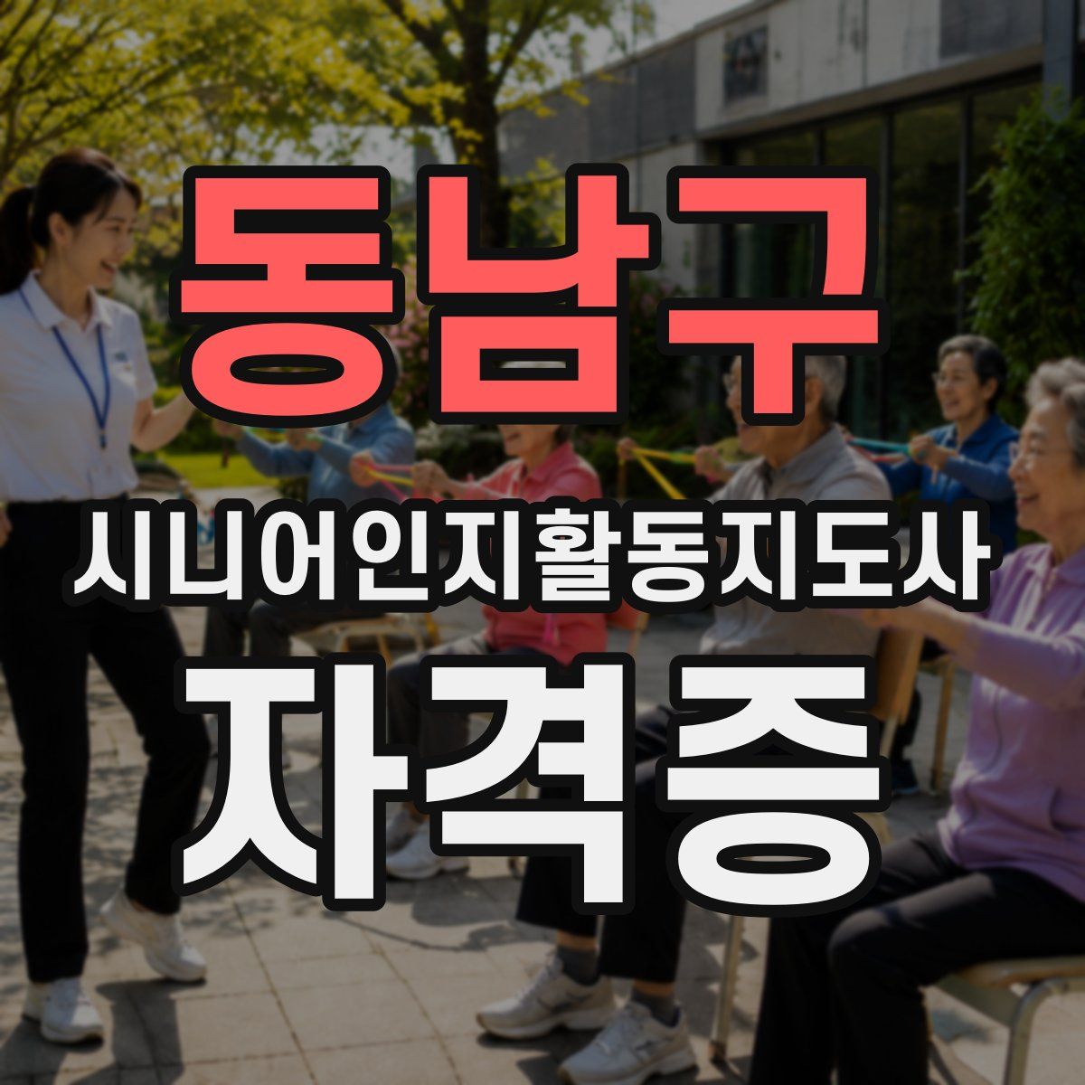동남구 시니어인지활동지도사 자격증