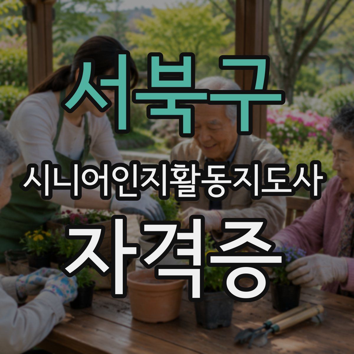 서북구 시니어인지활동지도사 자격증