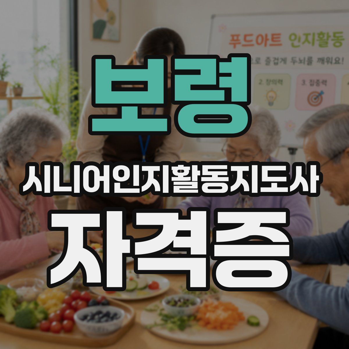 보령 시니어인지활동지도사 자격증