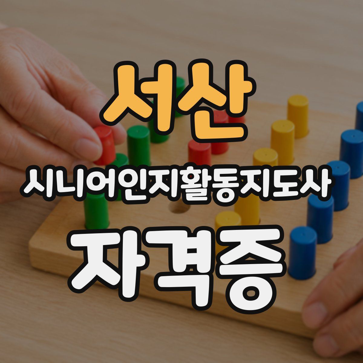 서산 시니어인지활동지도사 자격증