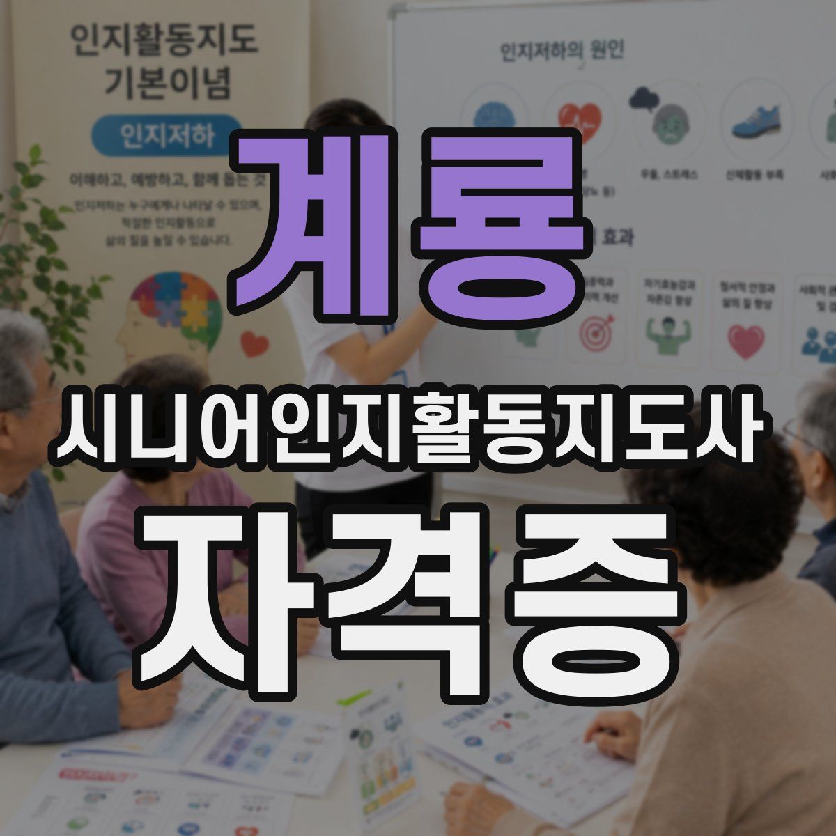 계룡 시니어인지활동지도사 자격증