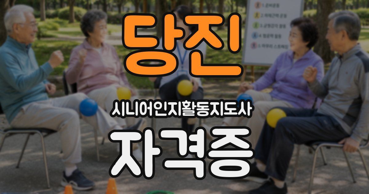 당진 시니어인지활동지도사 자격증