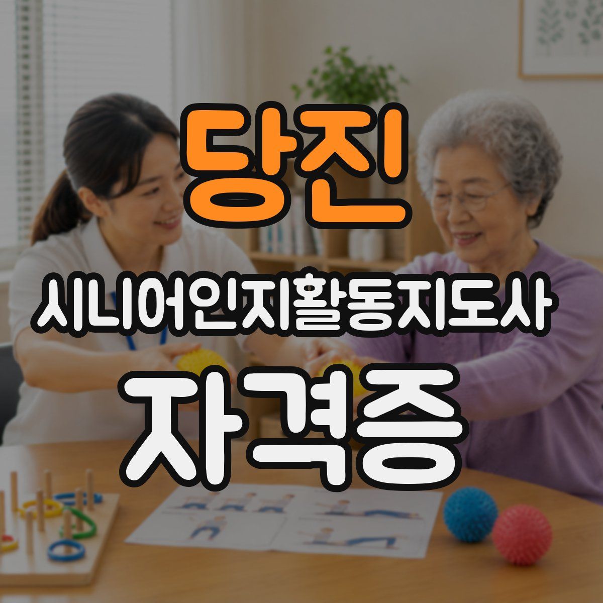 당진 시니어인지활동지도사 자격증