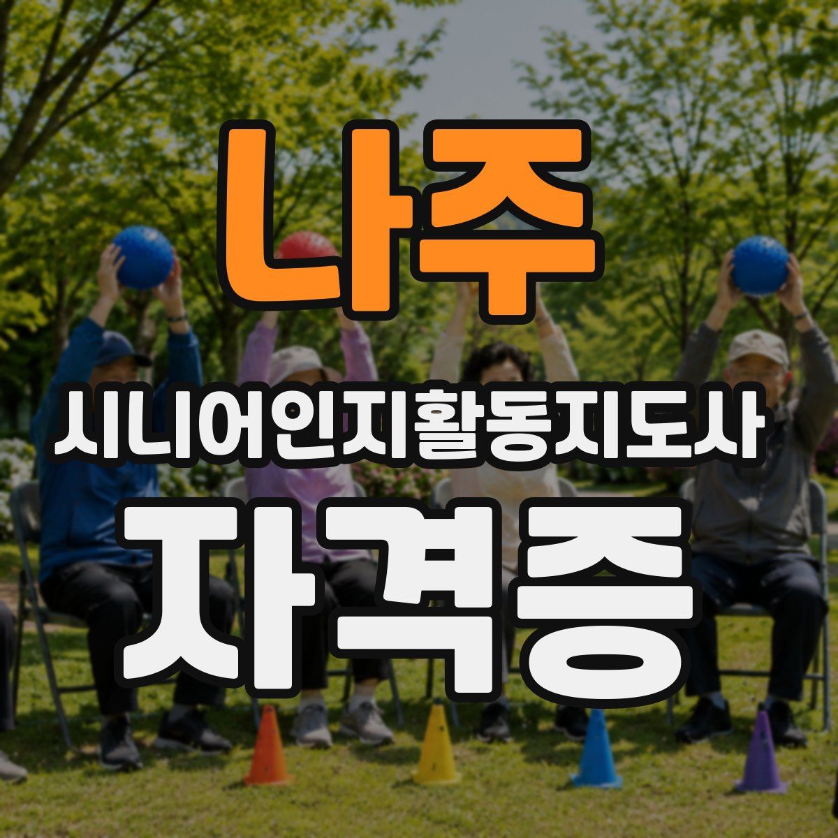 나주 시니어인지활동지도사 자격증