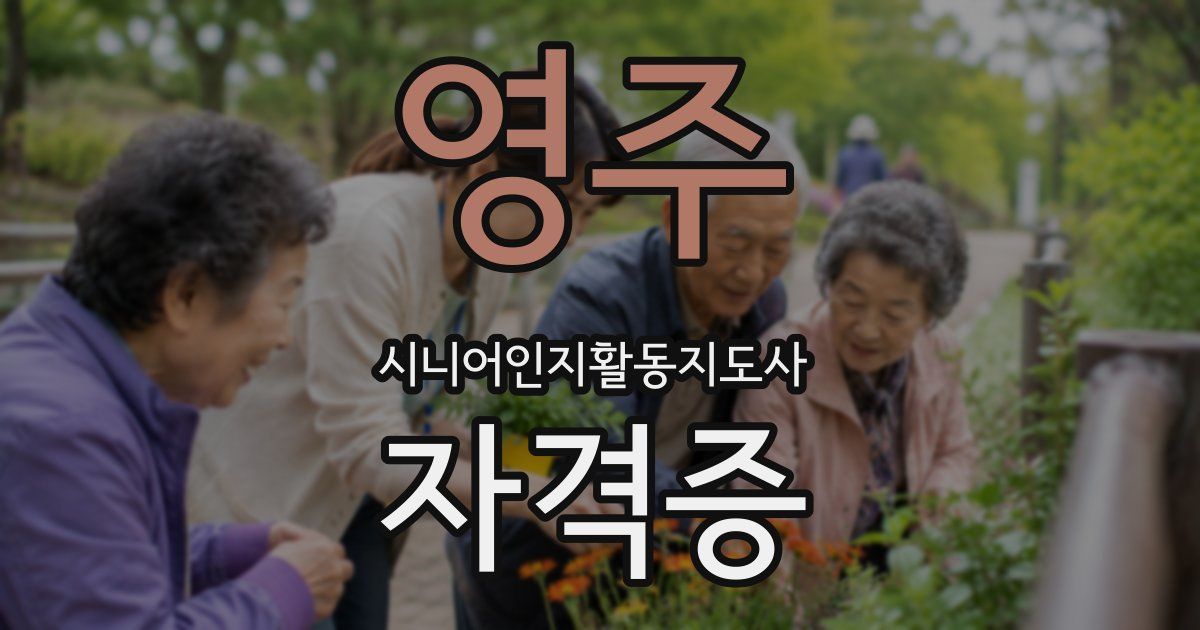 영주 시니어인지활동지도사 자격증