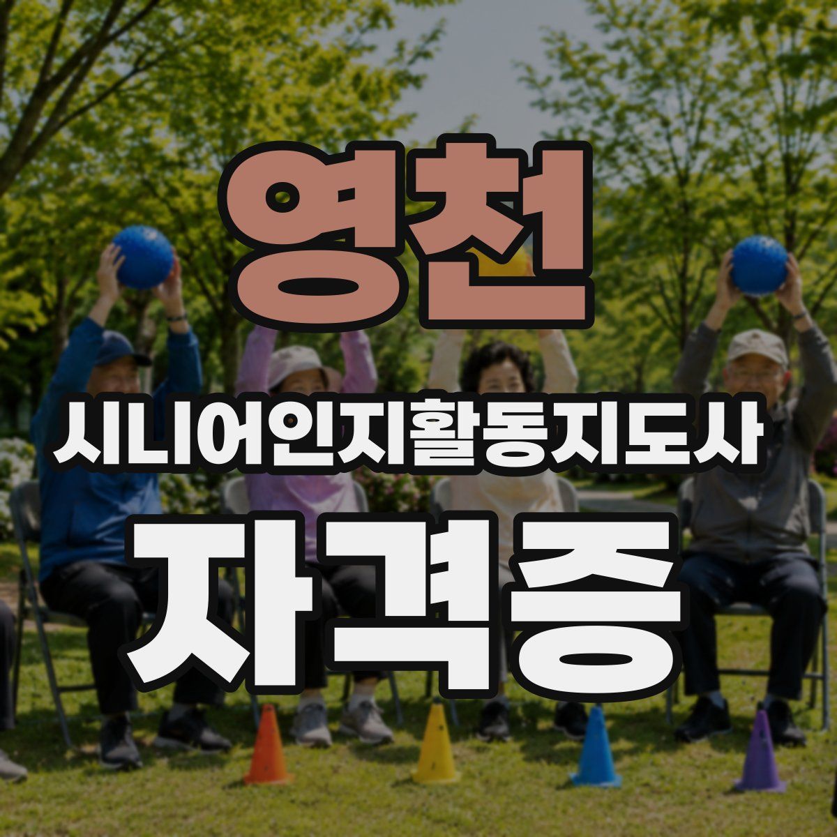 영천 시니어인지활동지도사 자격증