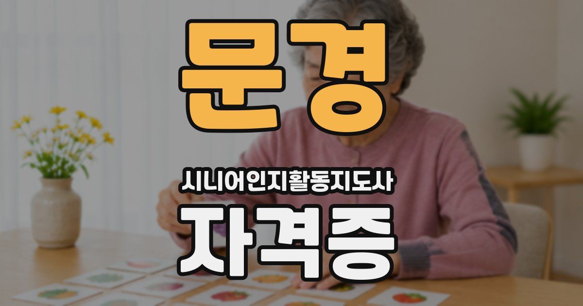 문경 시니어인지활동지도사 자격증