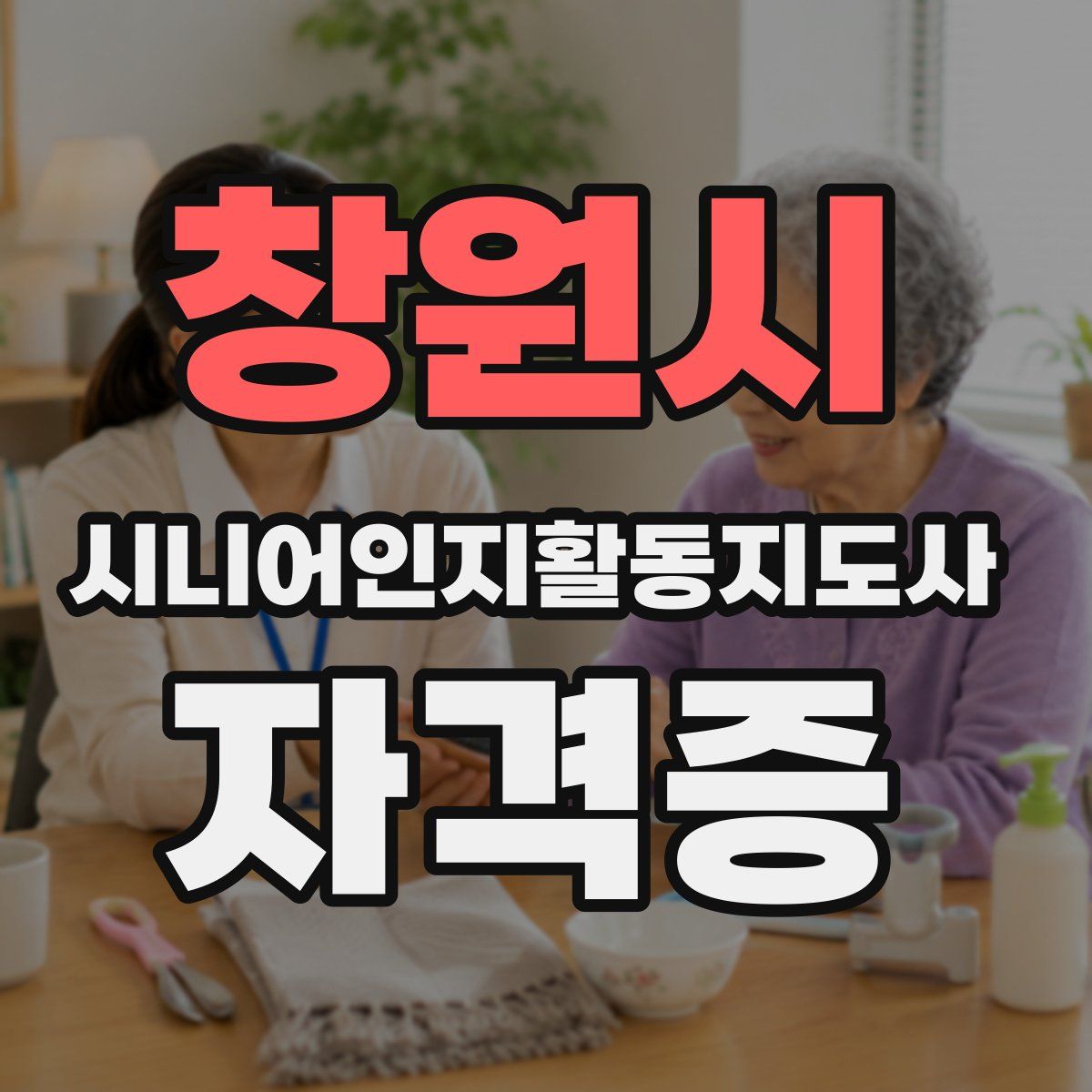 창원시 시니어인지활동지도사 자격증