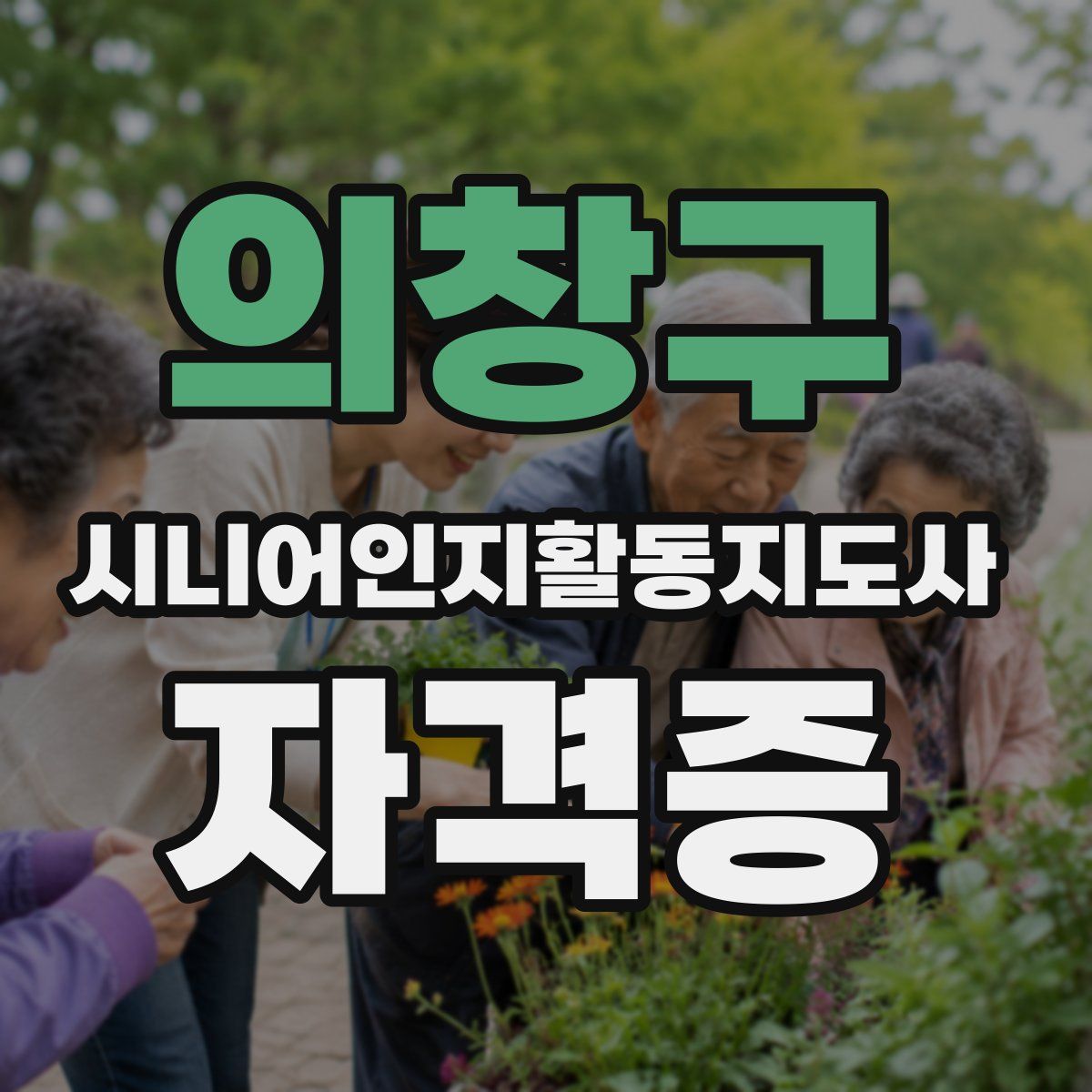 의창구 시니어인지활동지도사 자격증