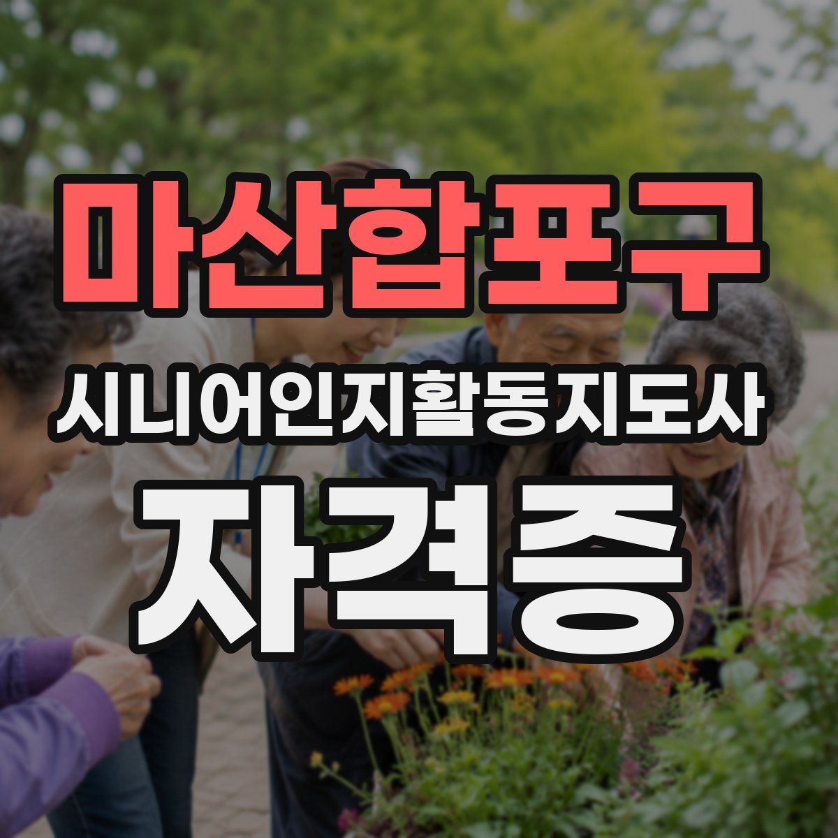 마산합포구 시니어인지활동지도사 자격증