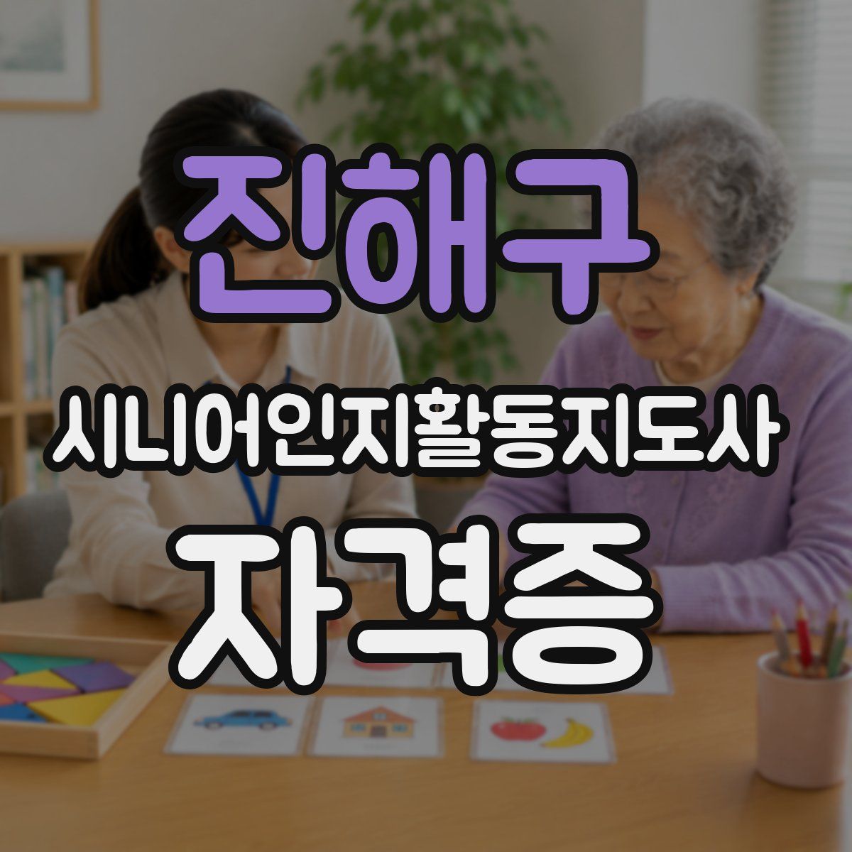 진해구 시니어인지활동지도사 자격증