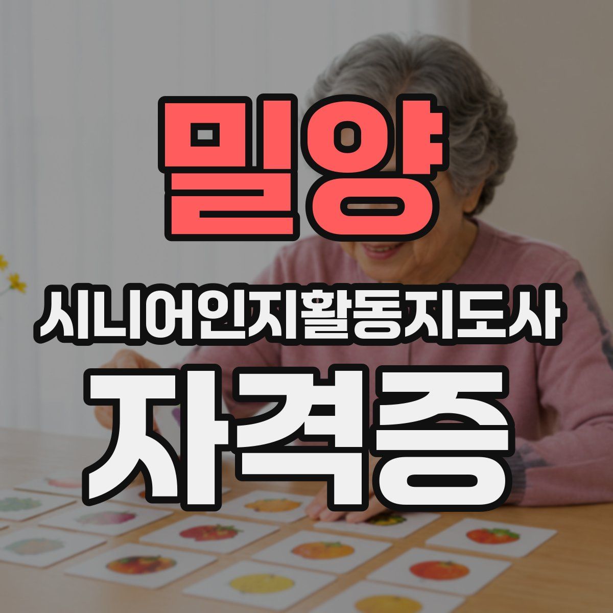 밀양 시니어인지활동지도사 자격증