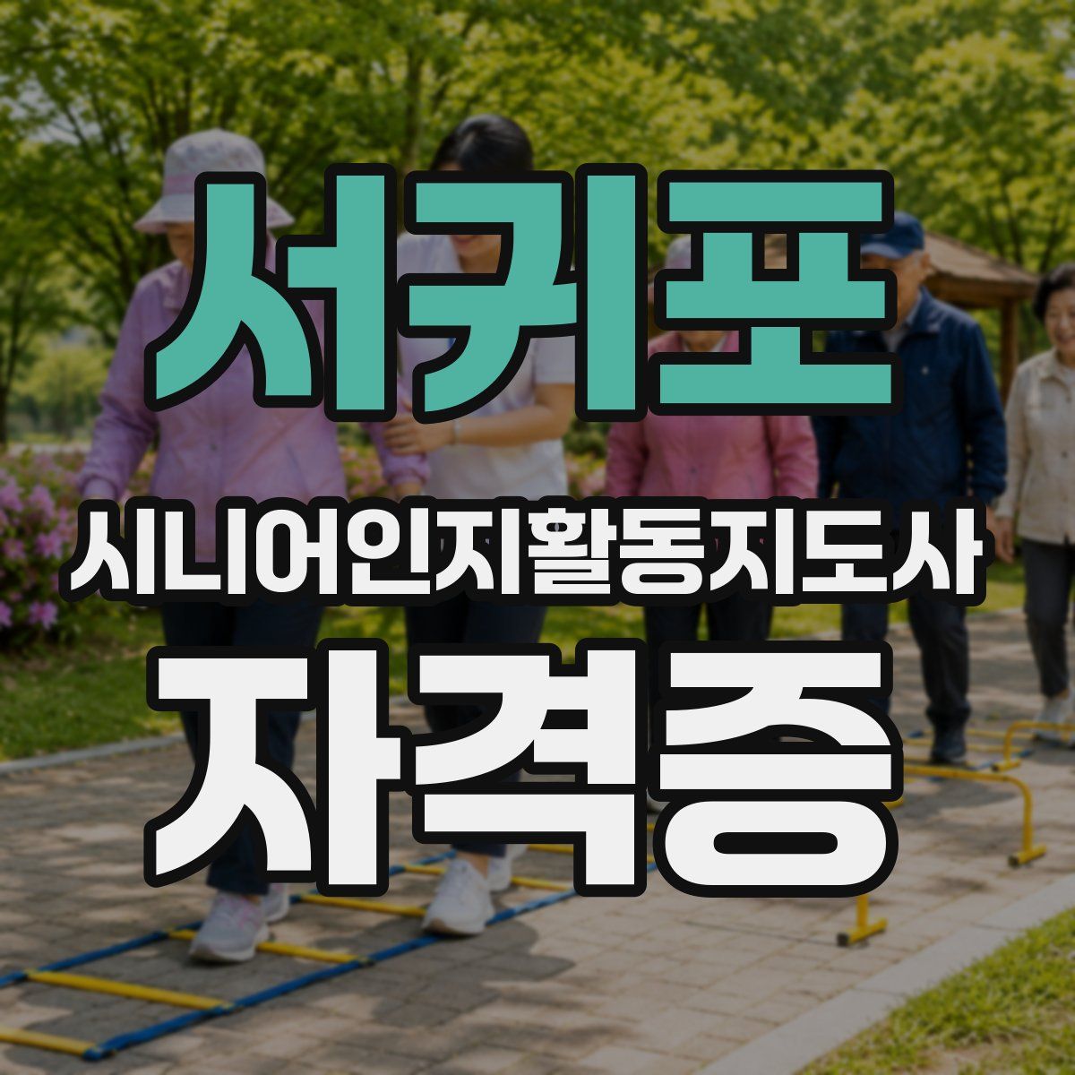 서귀포 시니어인지활동지도사 자격증