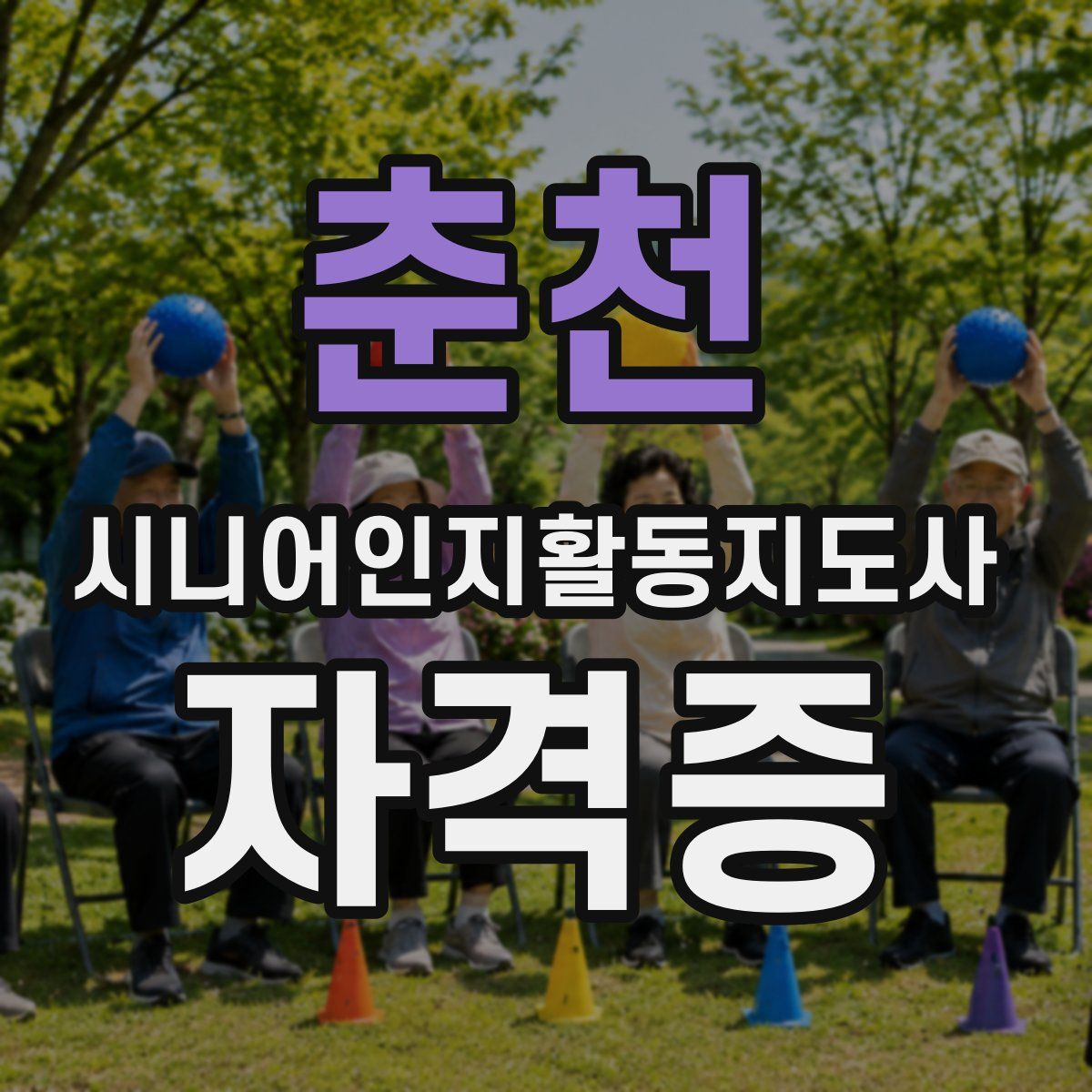 춘천 시니어인지활동지도사 자격증