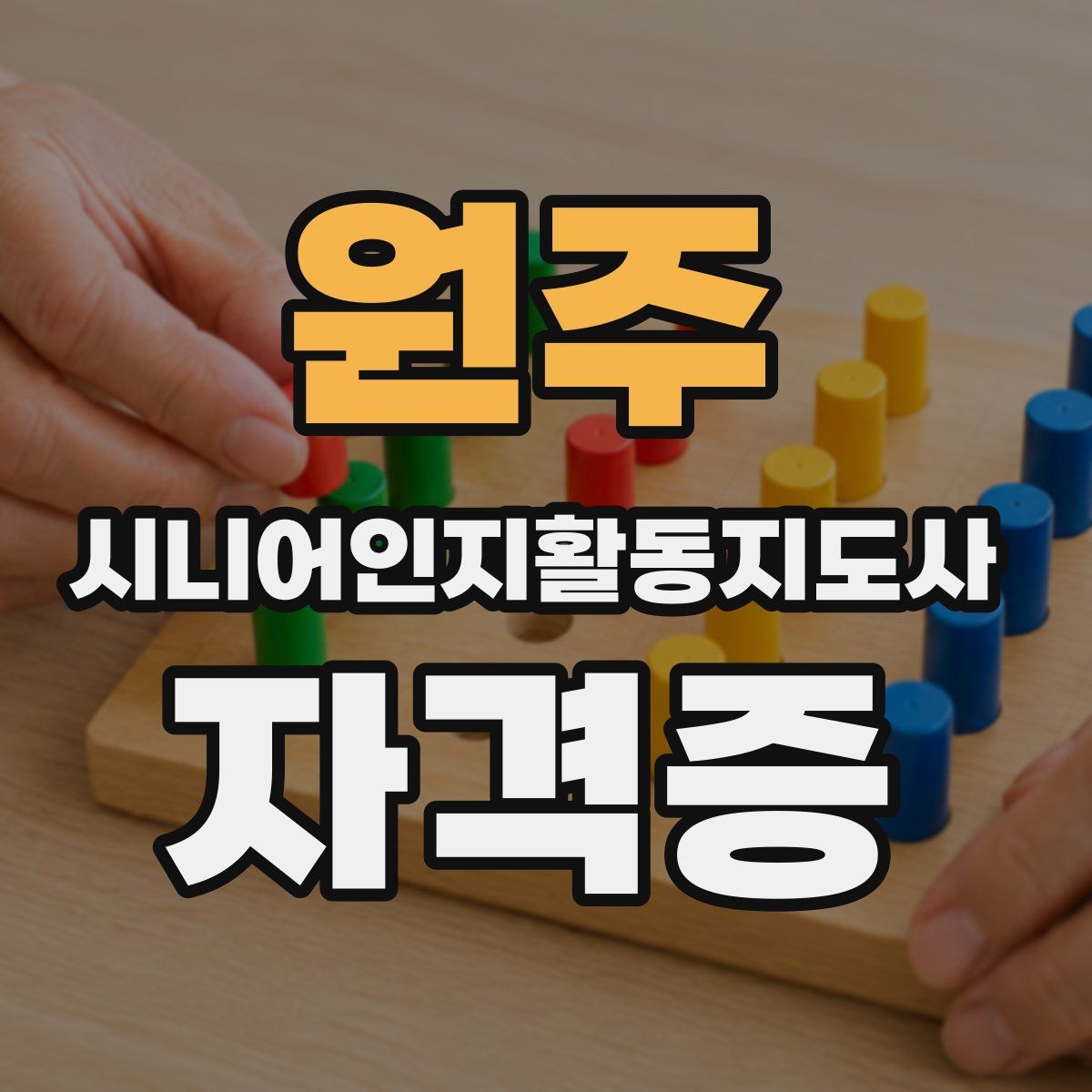 원주 시니어인지활동지도사 자격증