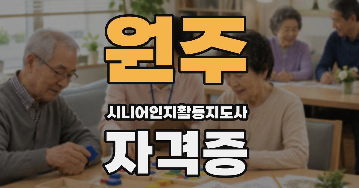 원주 시니어인지활동지도사 자격증