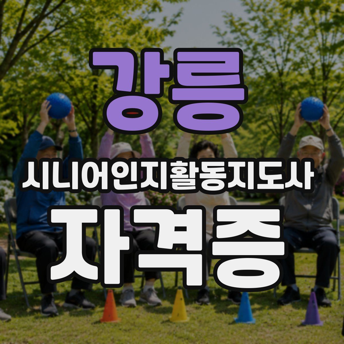 강릉 시니어인지활동지도사 자격증
